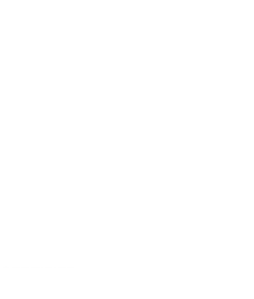 isms-logo-in-white-digital